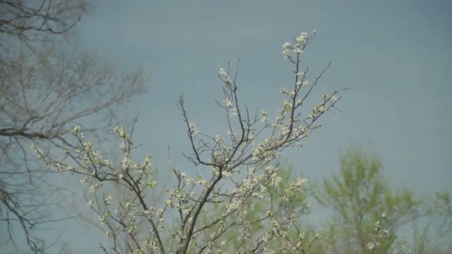 Предыстория: как староверы переехали в Россию
