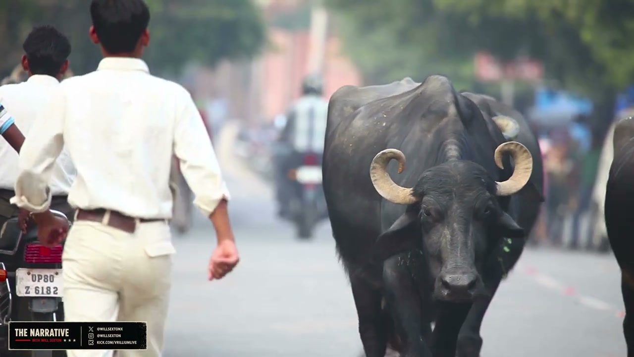 The Reality of Ethnic Migration Cartels